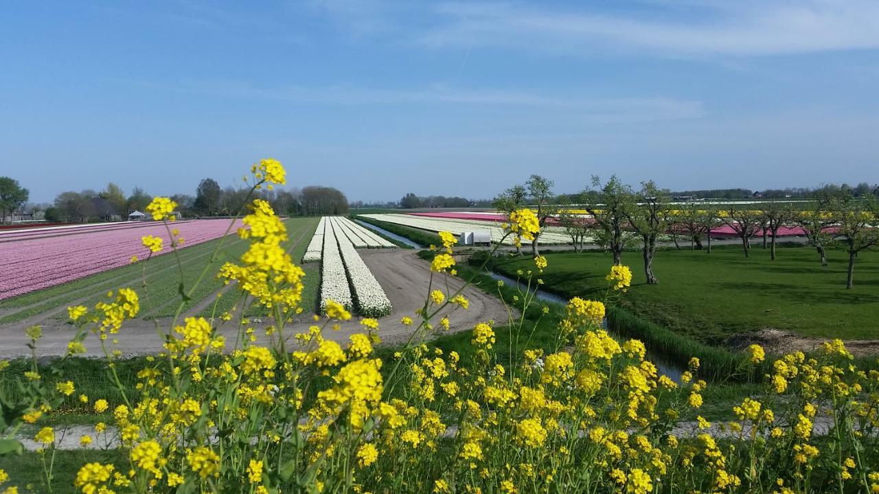 Vakantiehuis Duin Bos En Zee 斯霍尔 外观 照片