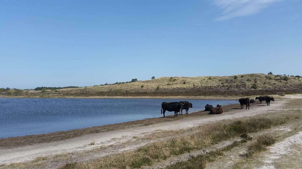 Vakantiehuis Duin Bos En Zee 斯霍尔 外观 照片
