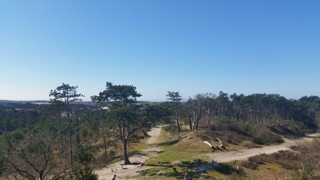 Vakantiehuis Duin Bos En Zee 斯霍尔 外观 照片